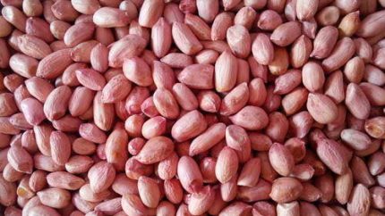PEANUT